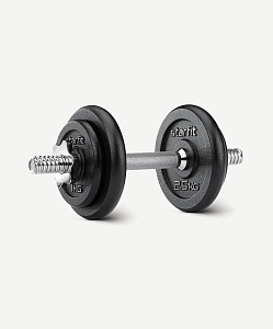 Гантель разборная чугунная DB-715 8 кг